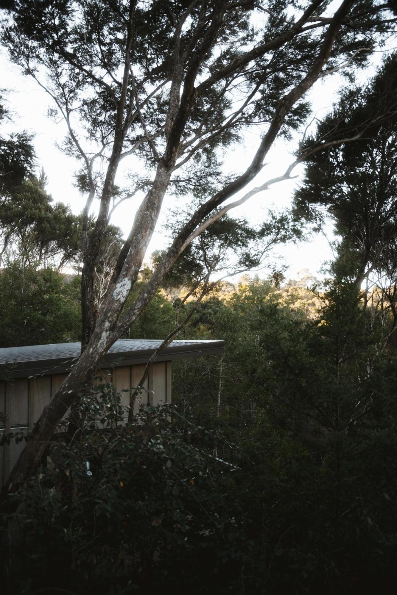 Treehouse Hideaway At Rekindle Tree Houses Opua Dış mekan fotoğraf